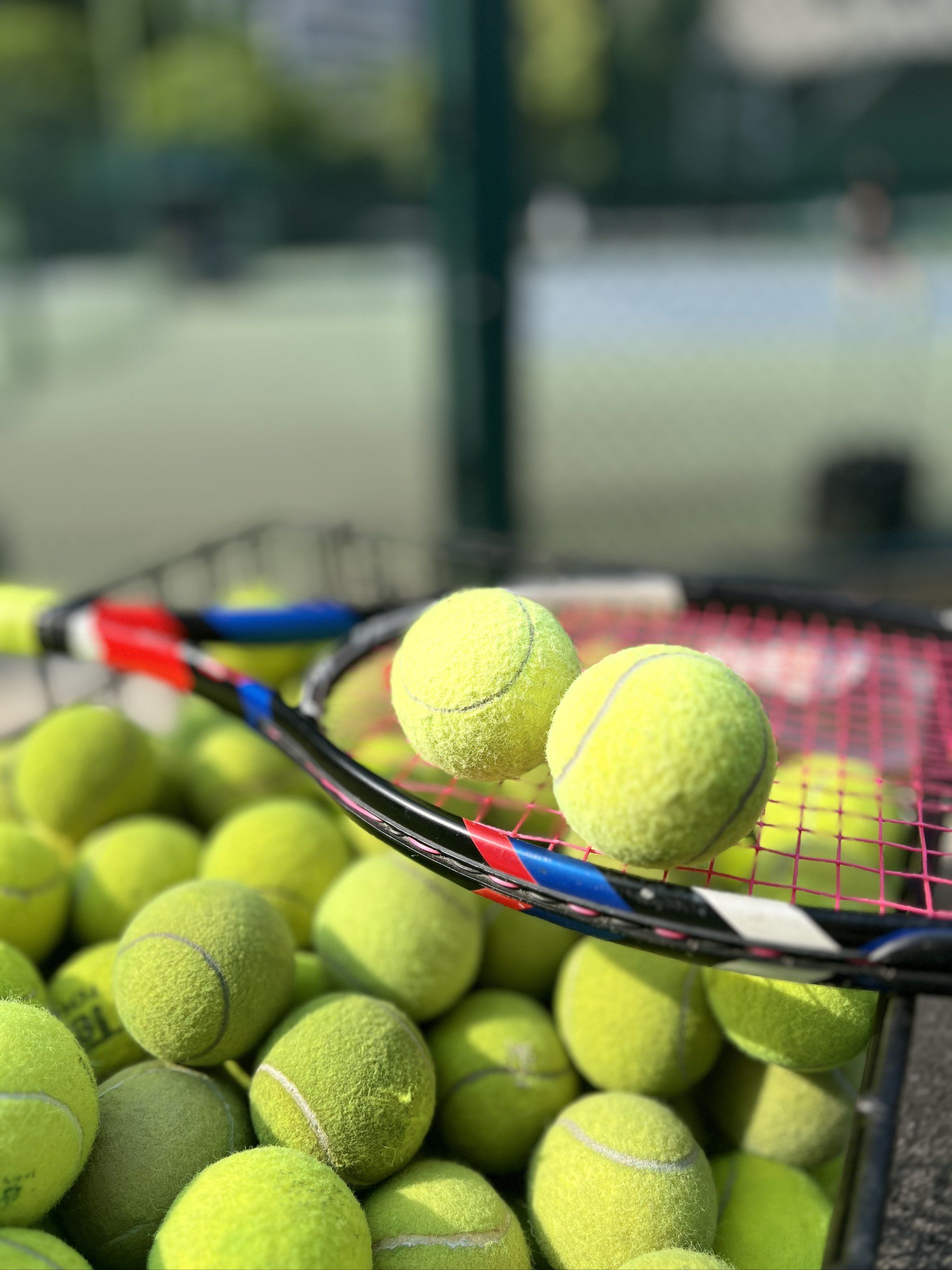 更具备与强 更具备与强