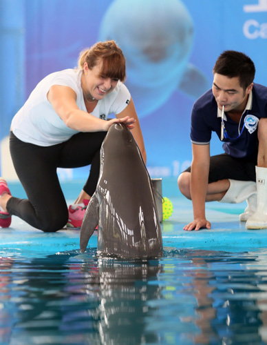 为所有期待 为所有期待